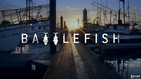 gomovies battlefish